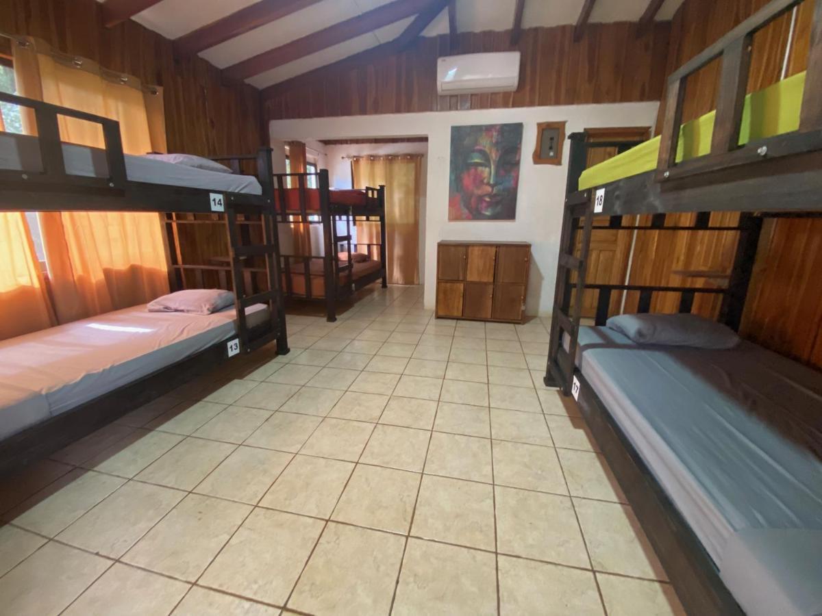Casa Del Sol Vandrehjem Playa Santa Teresa  Eksteriør billede